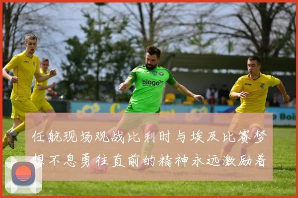 任航现场观战比利时与埃及比赛梦想不息勇往直前的精神永远激励着我们