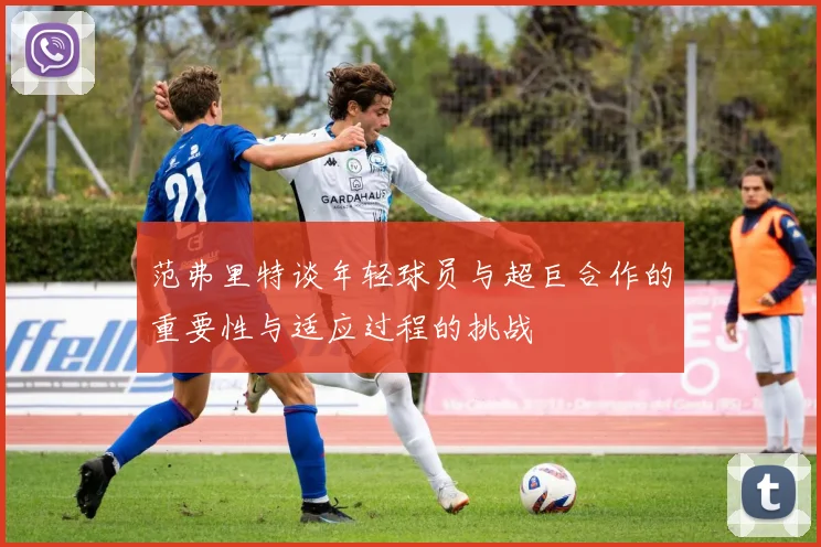 范弗里特谈年轻球员与超巨合作的重要性与适应过程的挑战
