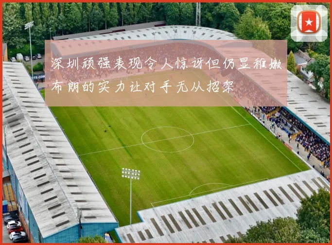 深圳顽强表现令人惊讶但仍显稚嫩布朗的实力让对手无从招架